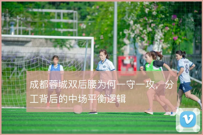 成都蓉城双后腰为何一守一攻，分工背后的中场平衡逻辑